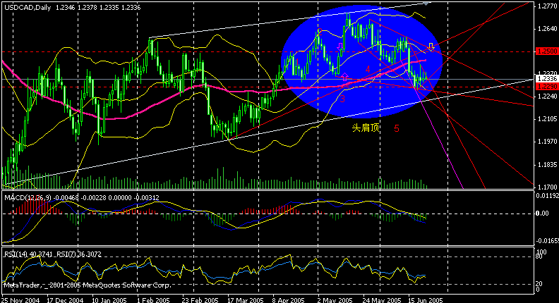 cad day.gif